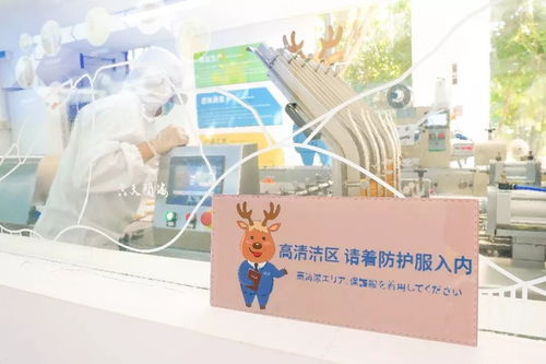 鹿先生的巧克力工厂 三亚必带的城市礼物，呦呦鹿科技的心意之选